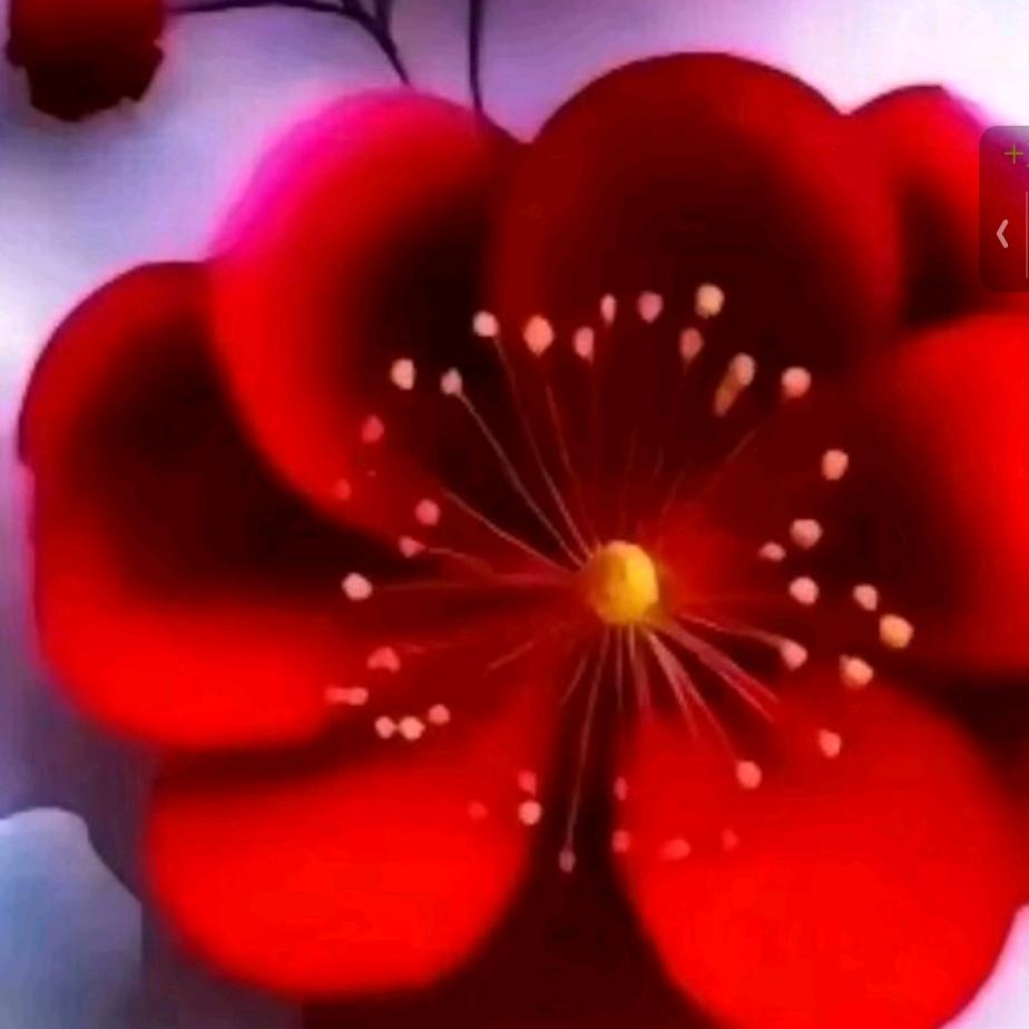 🌹曾经的回忆🌹头像