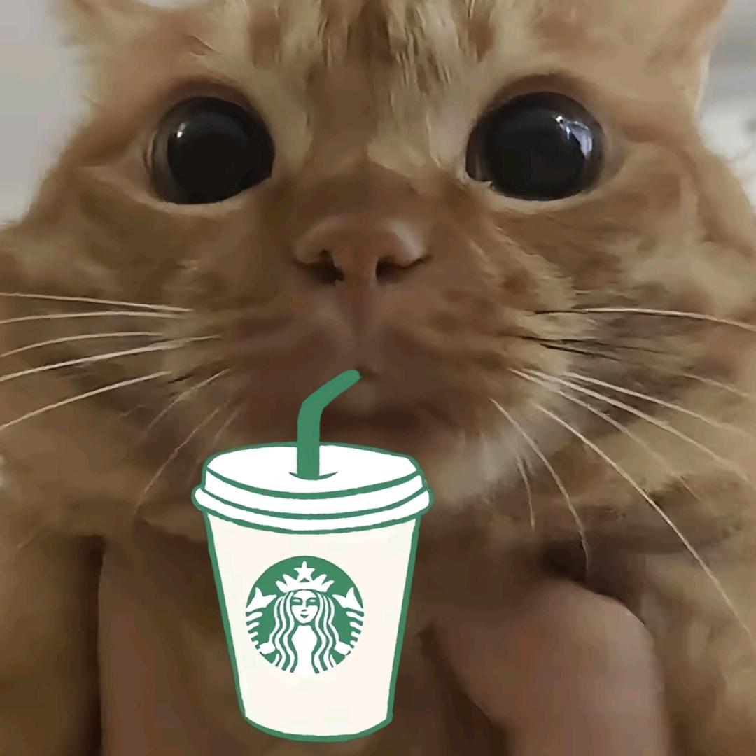 重生之在太仓OPPO做销售（新华东路）