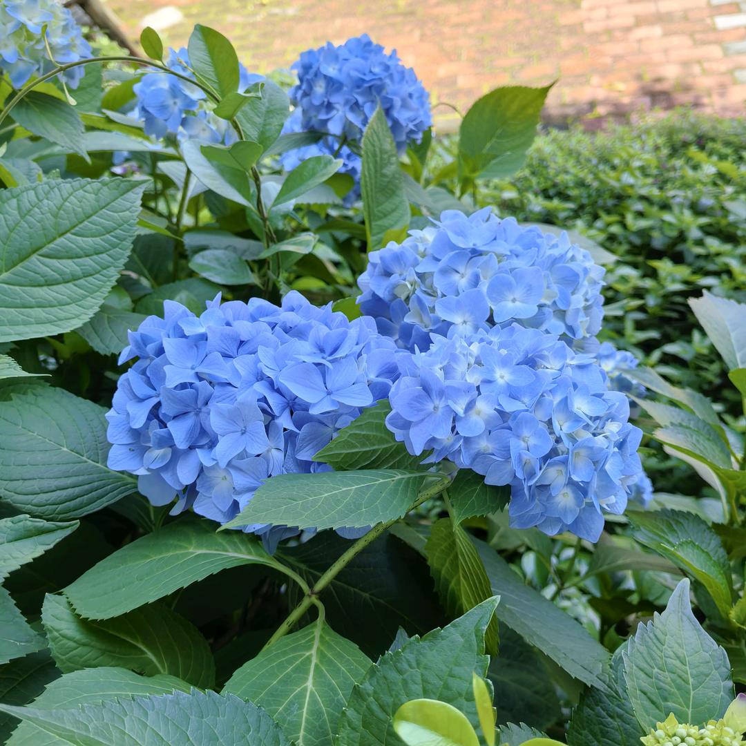 不畏将来～不念过去