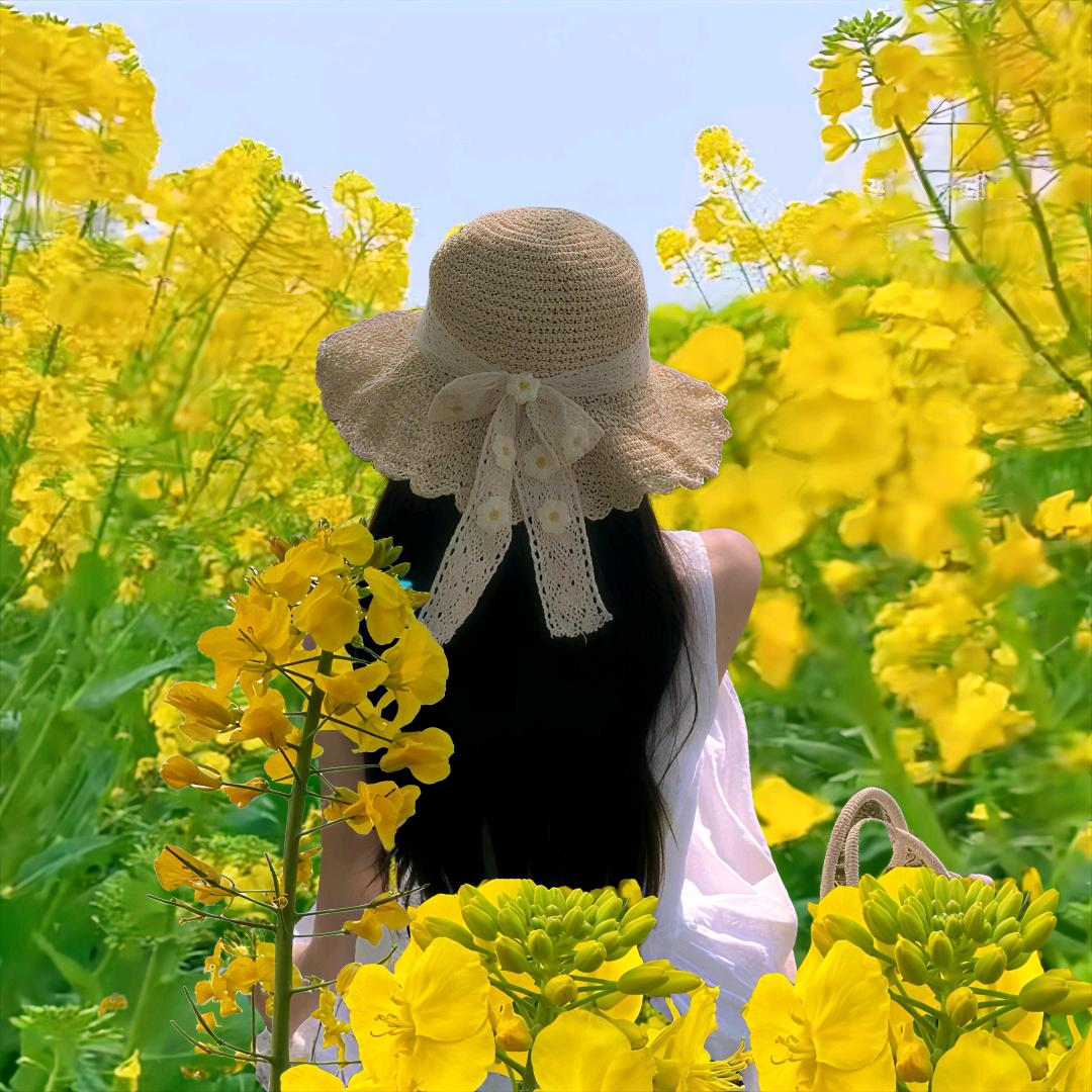糖糖好物分享