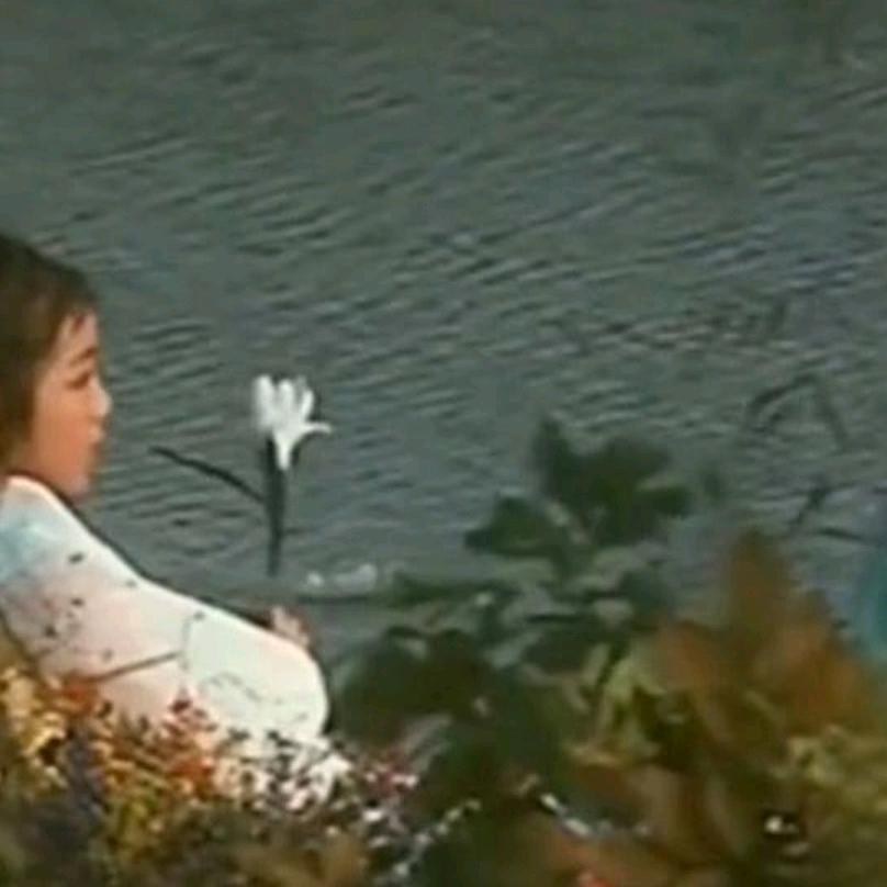 坚强的我《🐉》