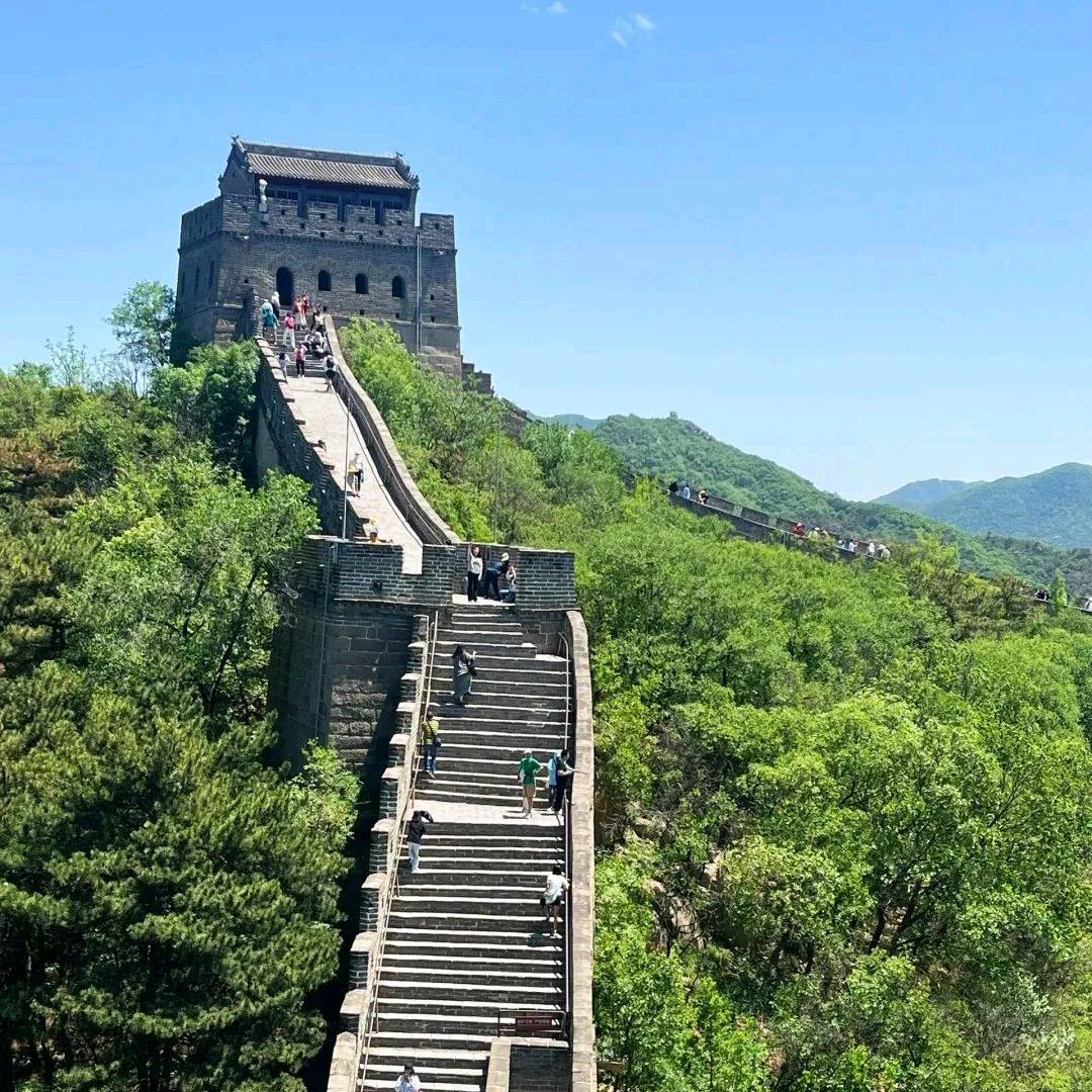 特别帅再生资源利用