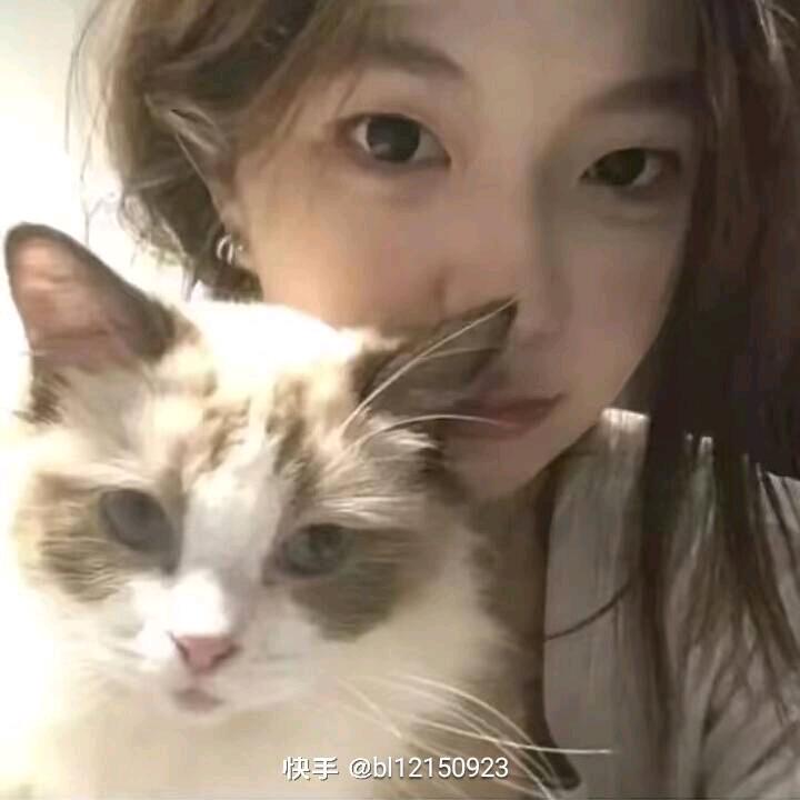 小团团