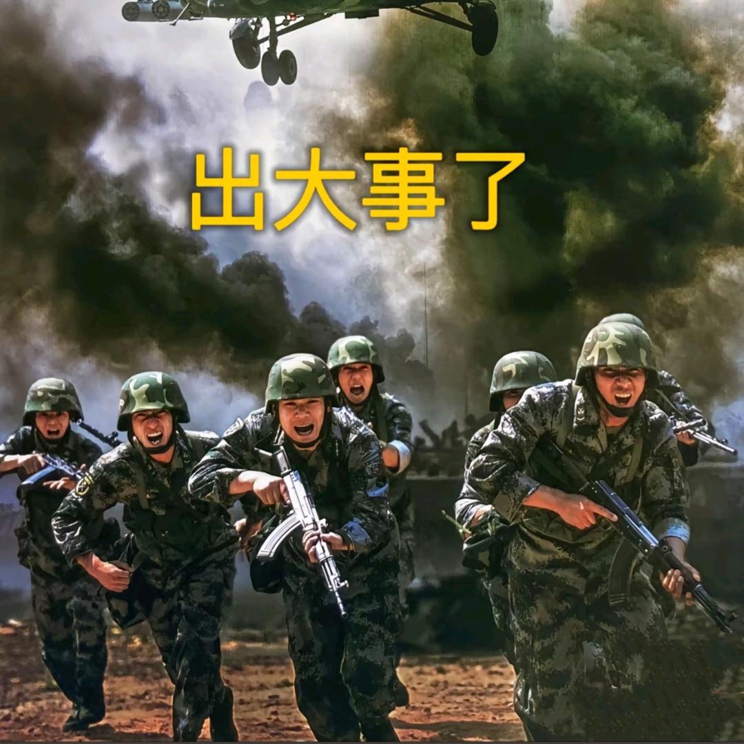 金哥视野