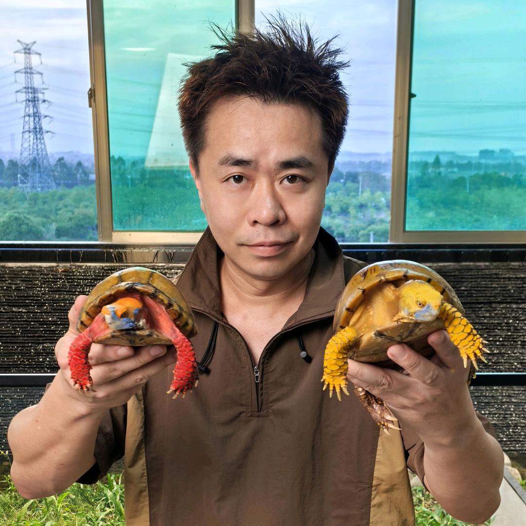 环境王梁凯立