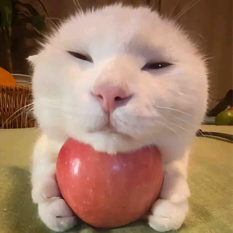 才二十二