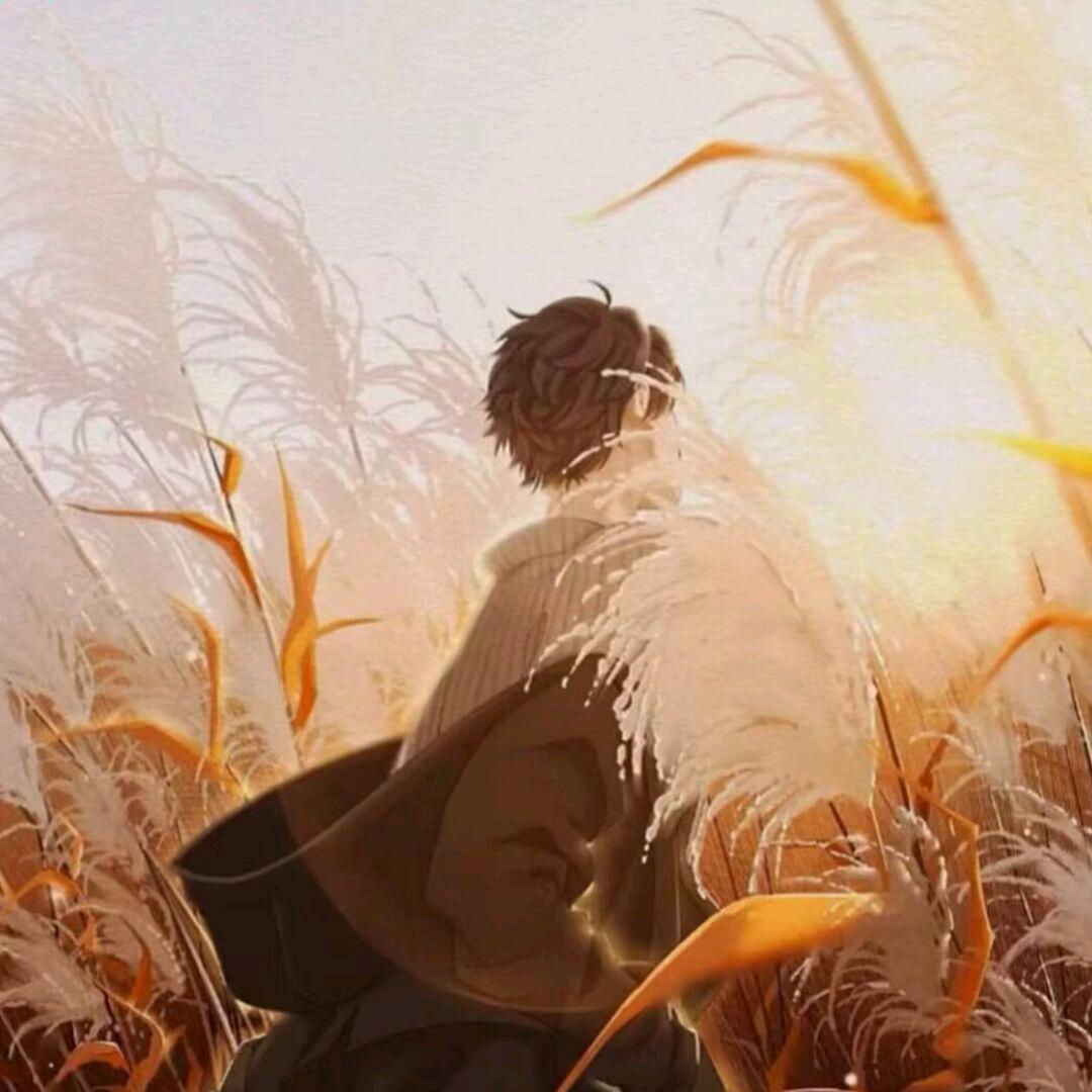 月亮不营业我营业