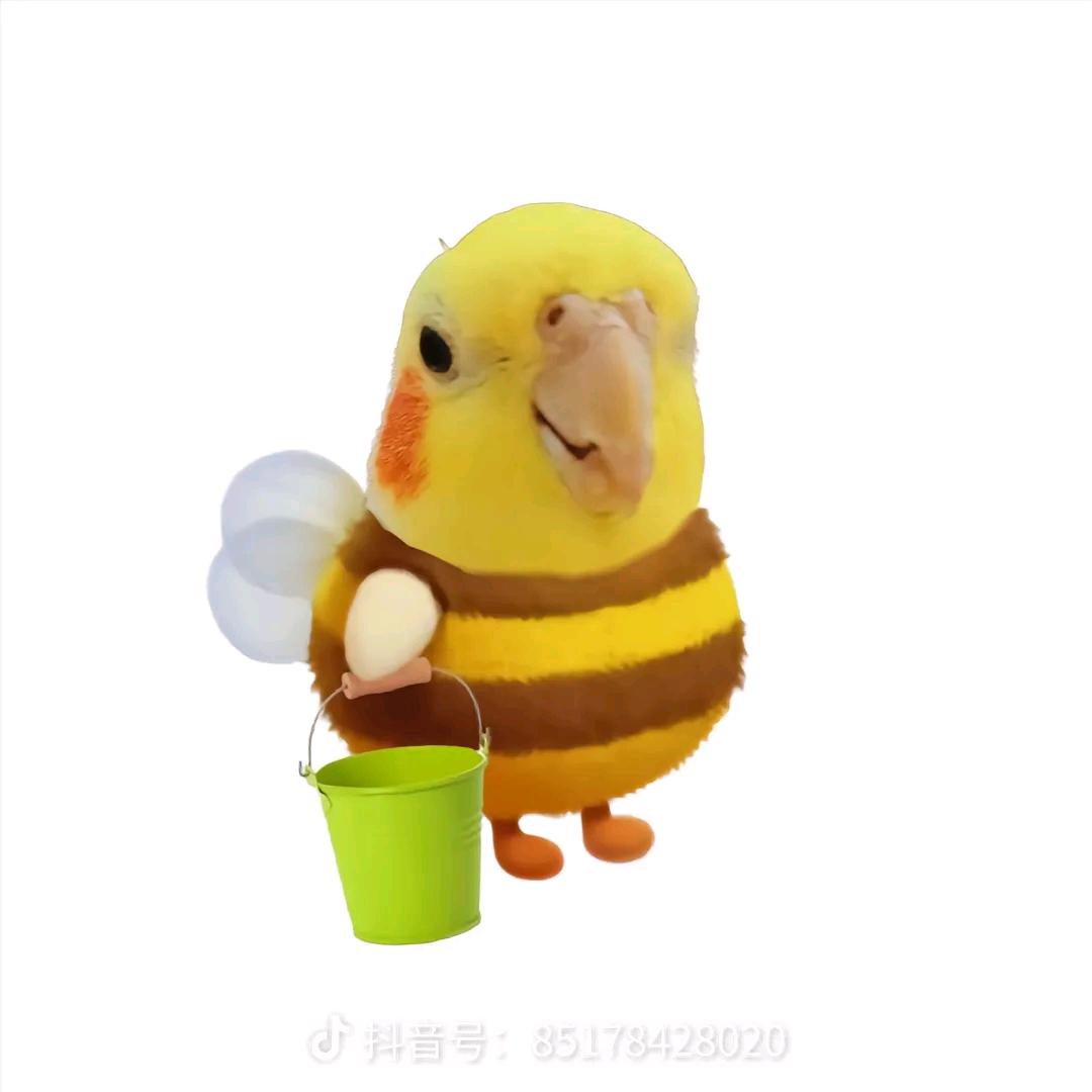 小黄不吃草🌿🌿🌿🌿