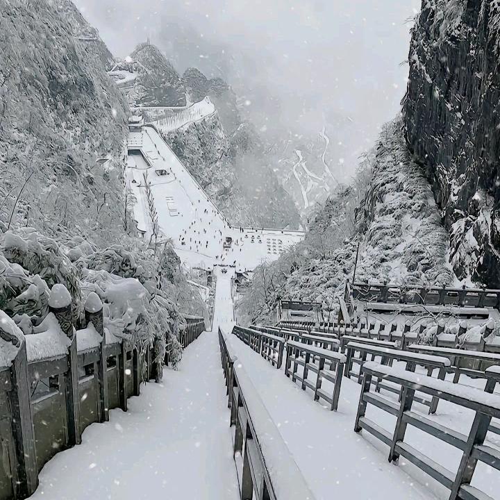 陆离