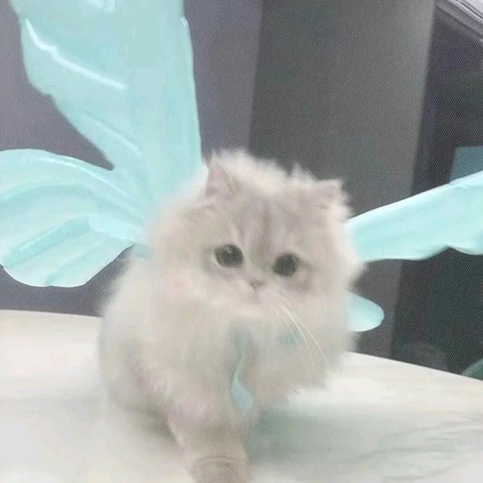 故我