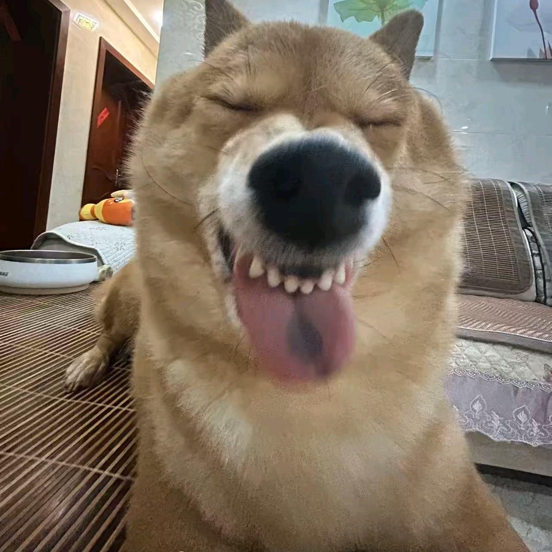 吾の寶