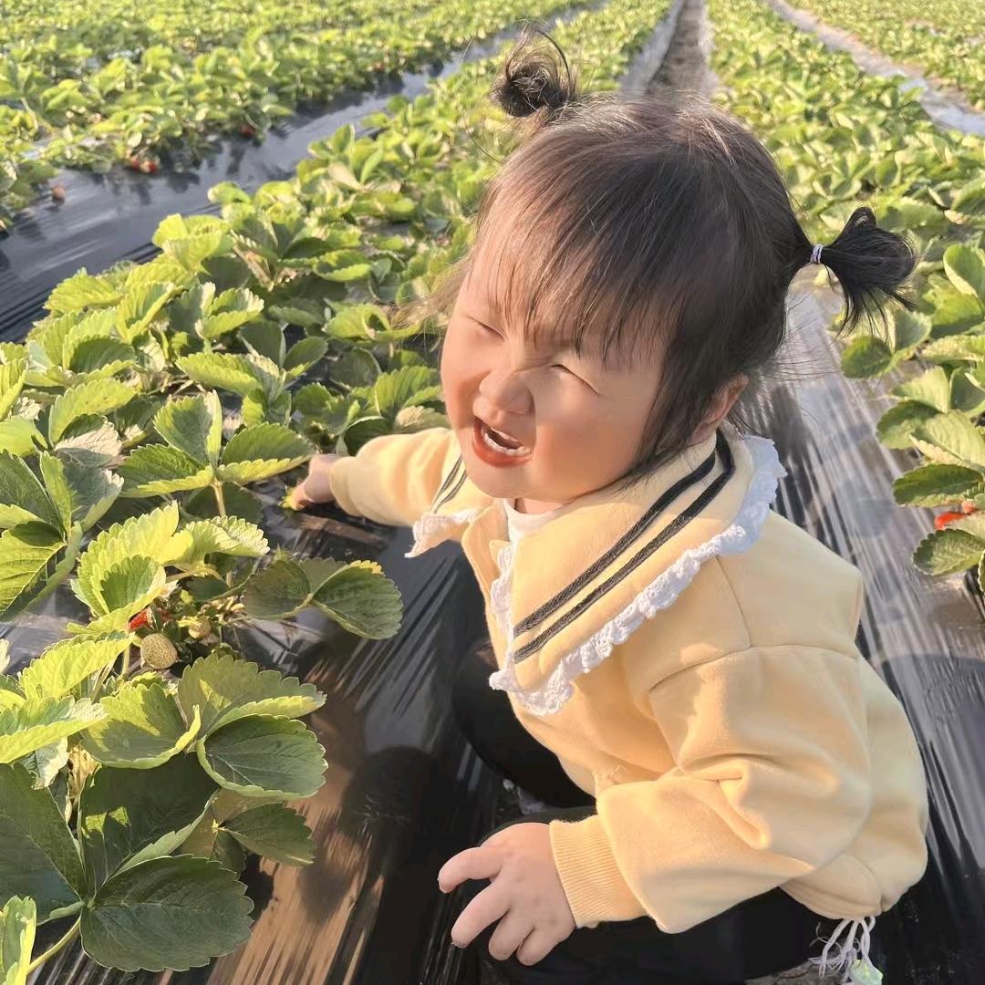 邓师，专业钻水井，