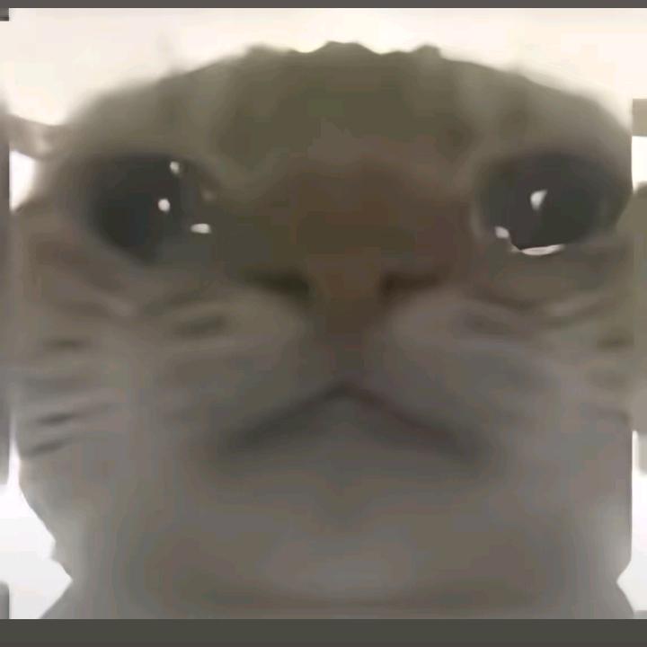 纪
