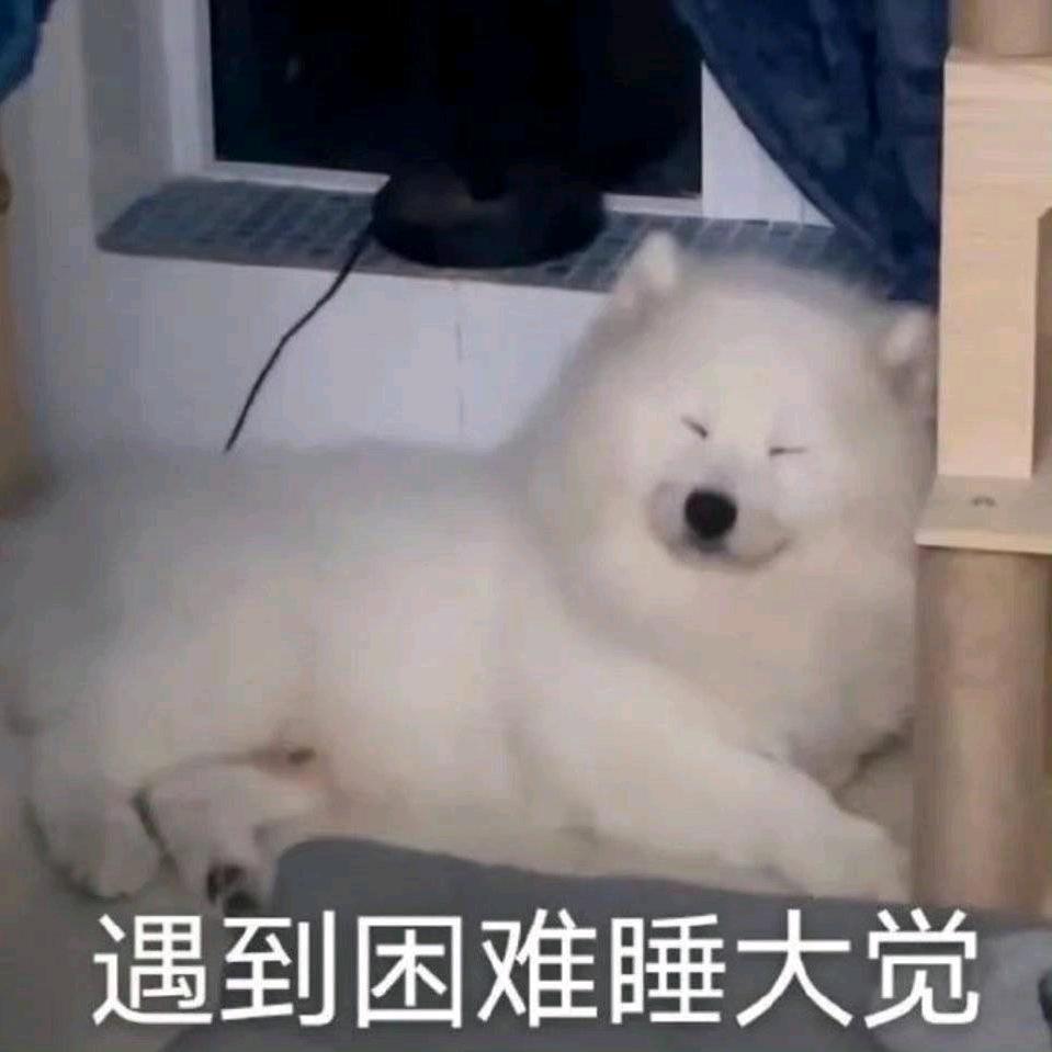 这里是哪里