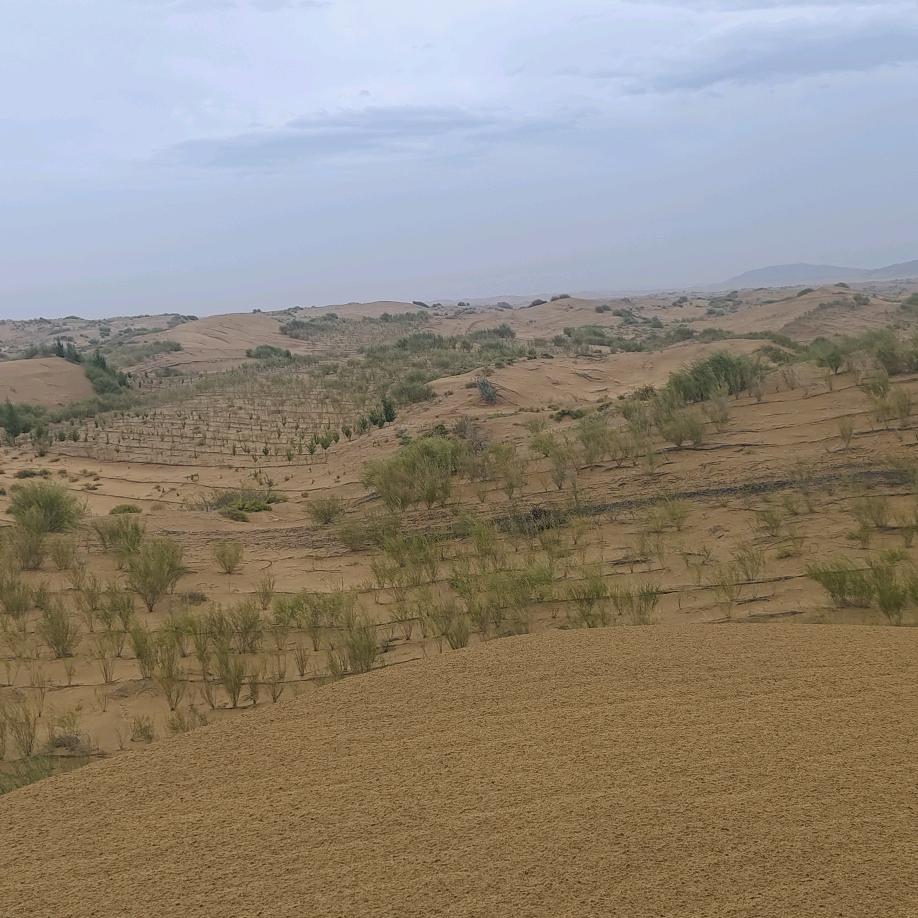 淄博华信窑炉工程耐火材料