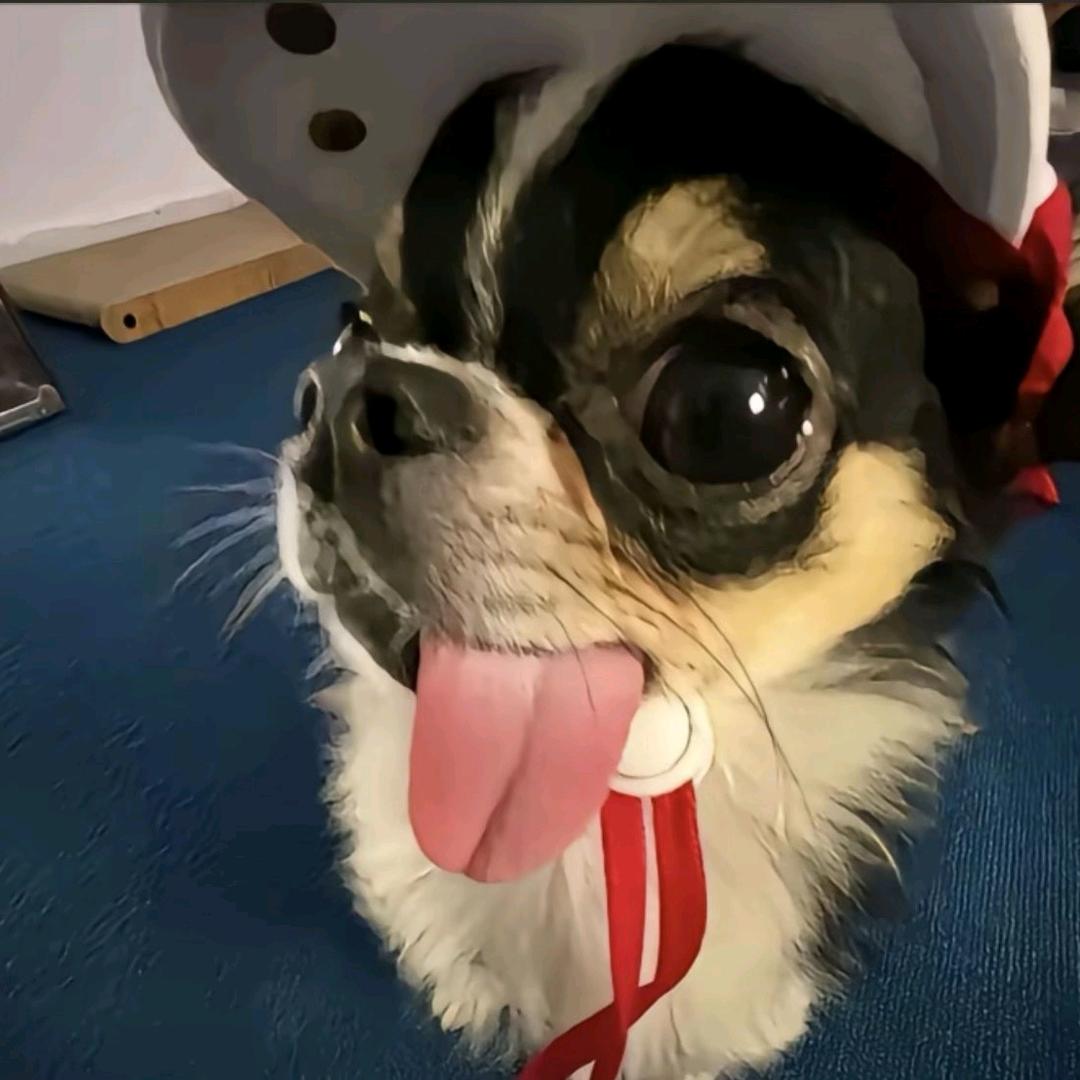 我爱你