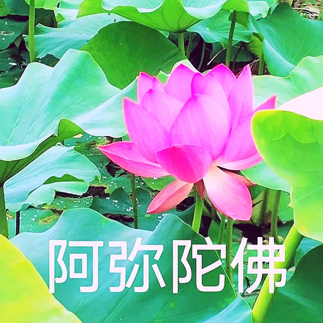 福道缘