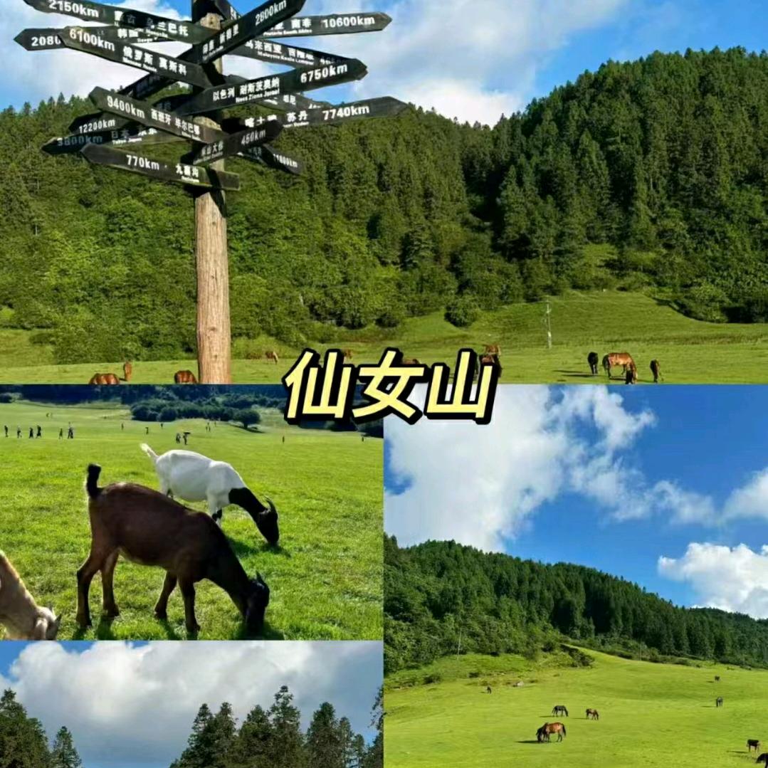 ￴￴￴ ￴￴￴ ￴重庆品质游