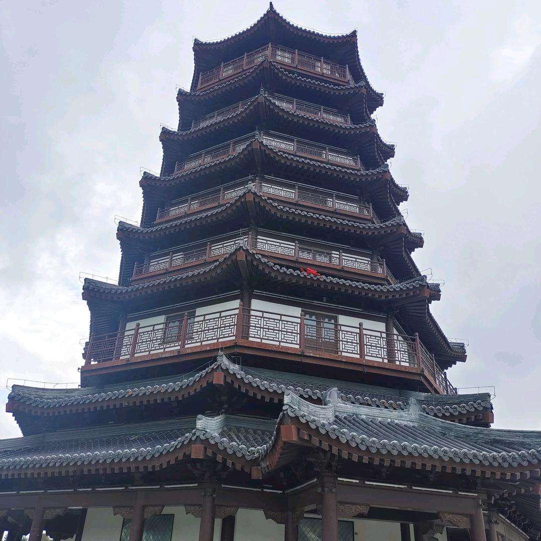 风中的凌乱