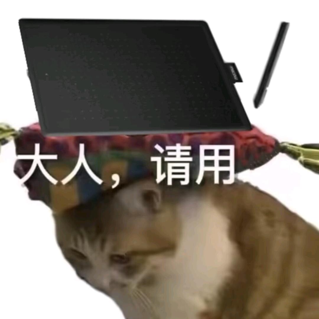 梧桐桐桐