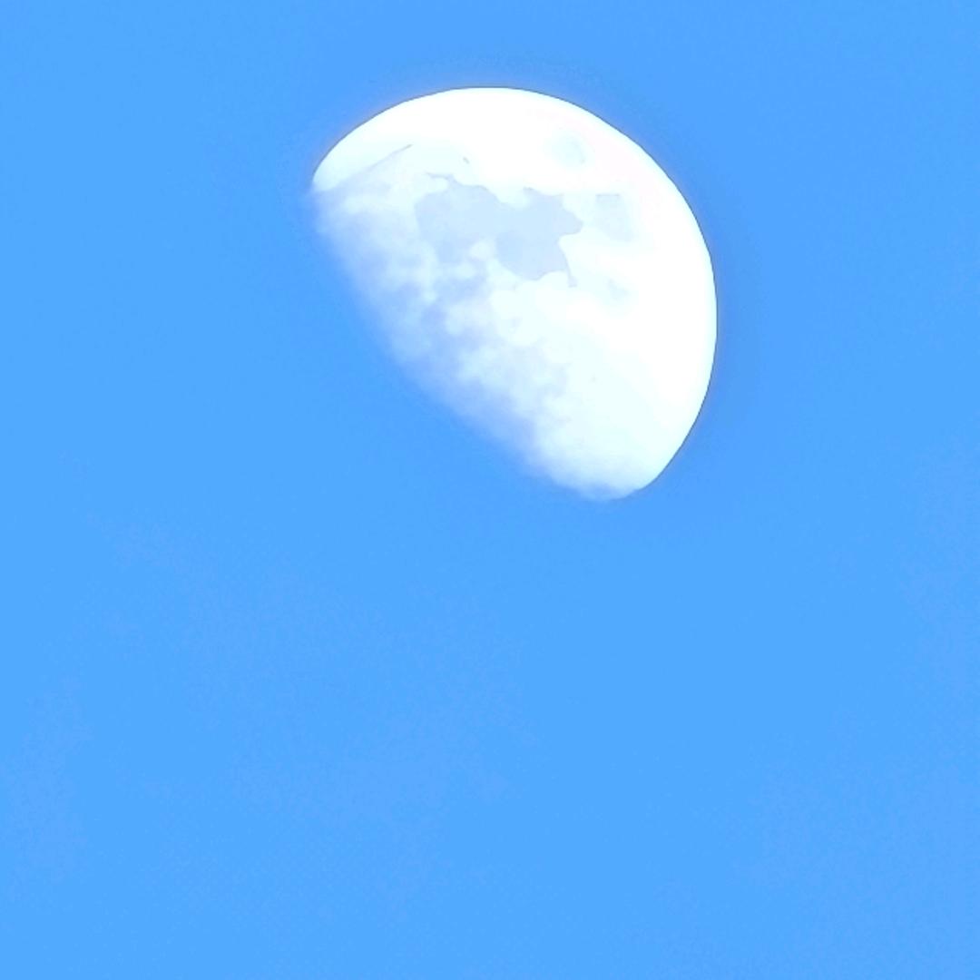 尘染