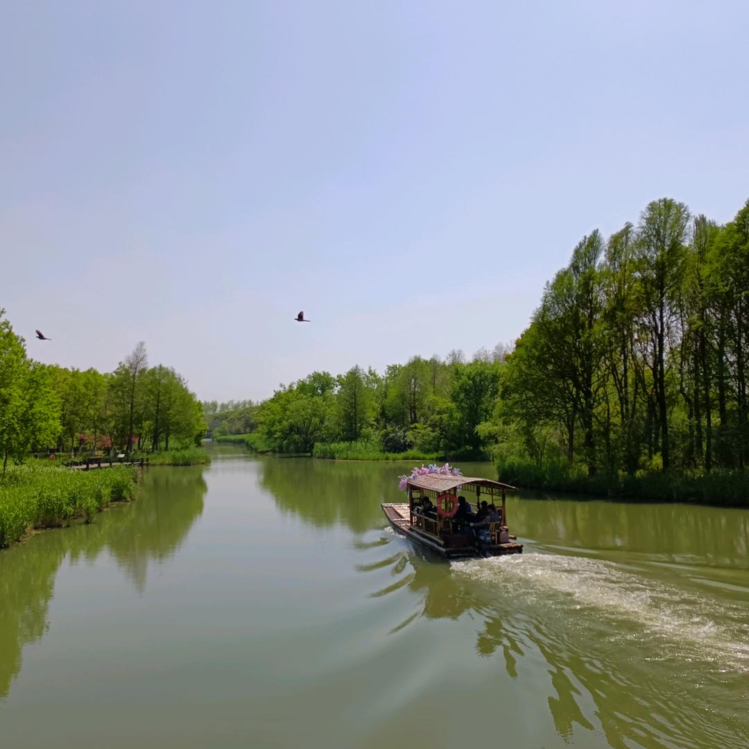 尘风破浪