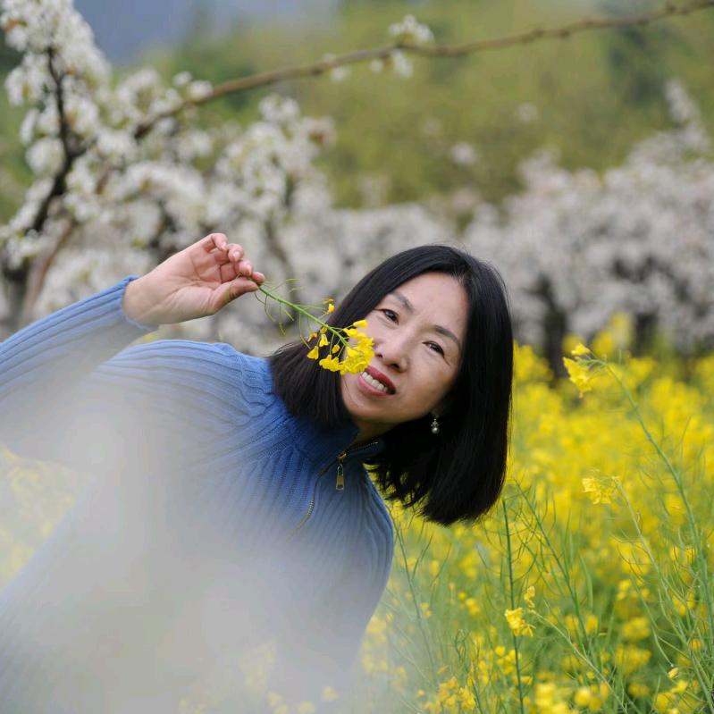 李红的美好生活