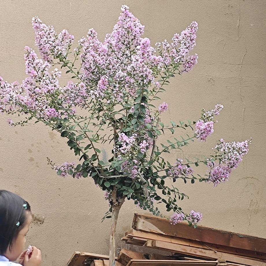 🍁读你💐💐💐