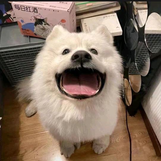 O__O!!!!
