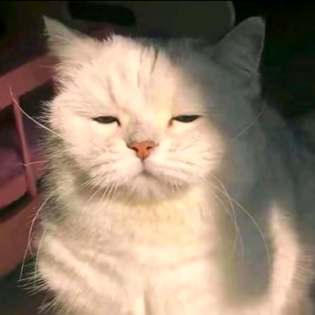 ૧(●´৺`●)૭