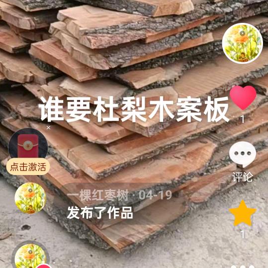 一棵红枣树
