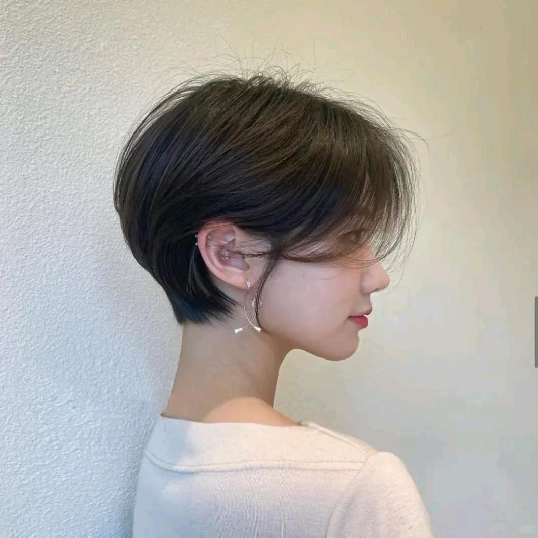 艺术人生系统教练