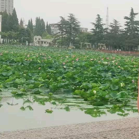 心❤️