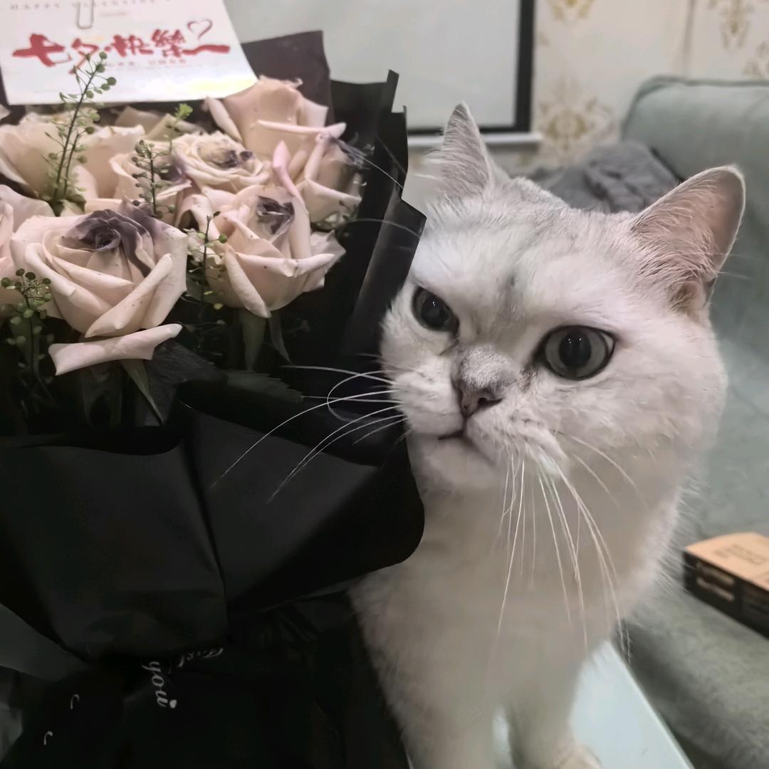 机选中大奖🀄