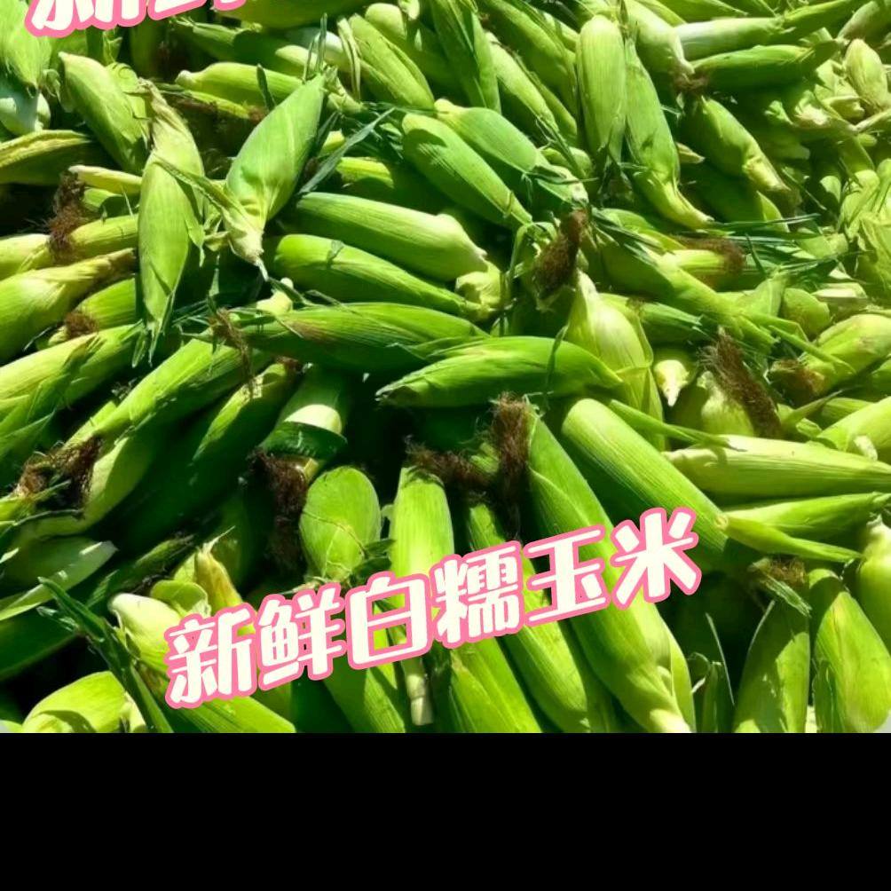 小蜜蜂农产品