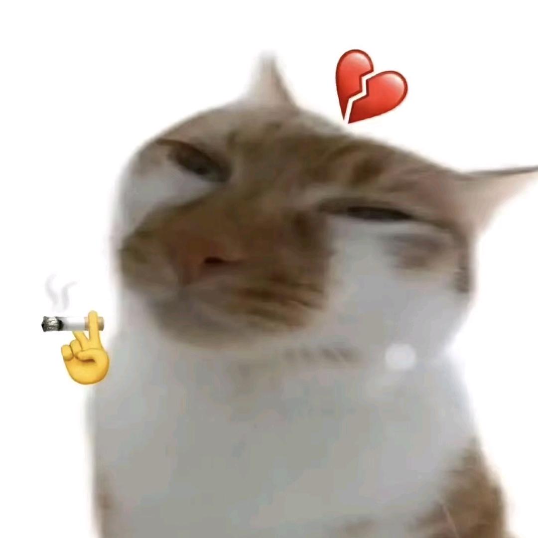 比个烨