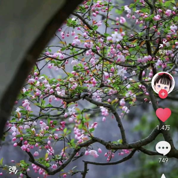 玉皇山路口卫丽凉皮