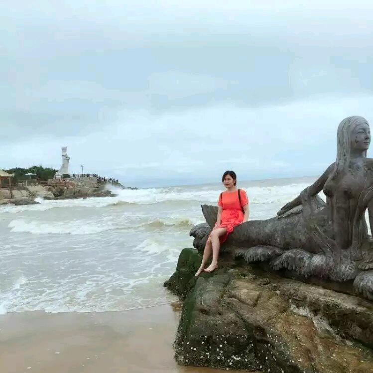 懒人懒猫