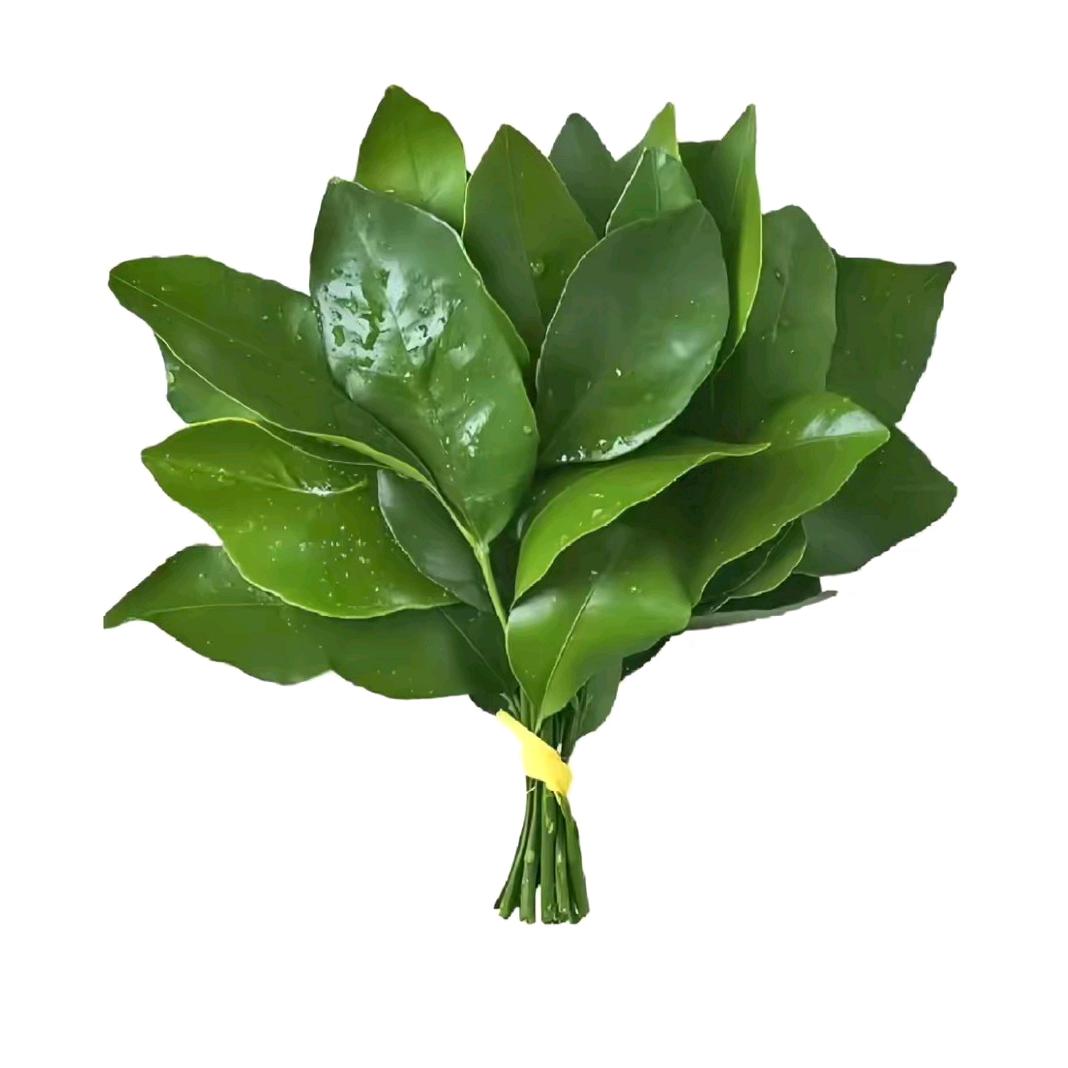 宇哥哥
