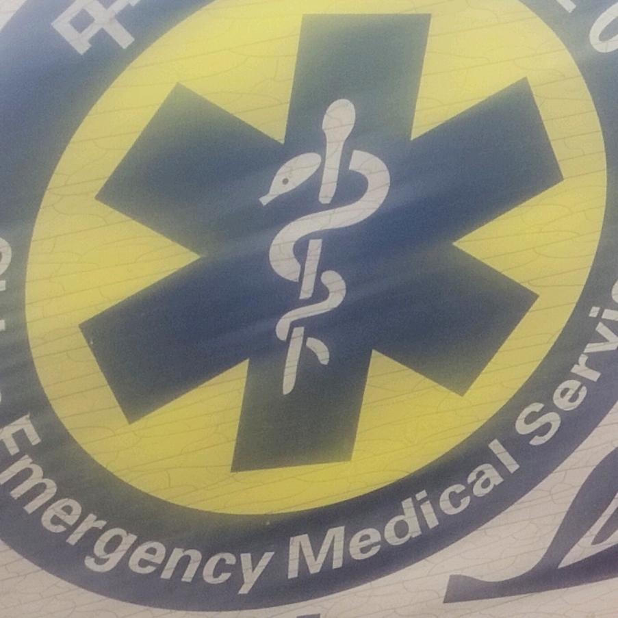 泽泽大王拯救地球