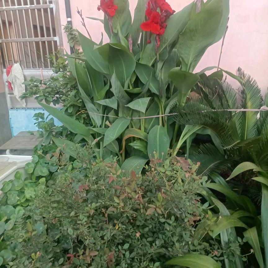 过往的云烟