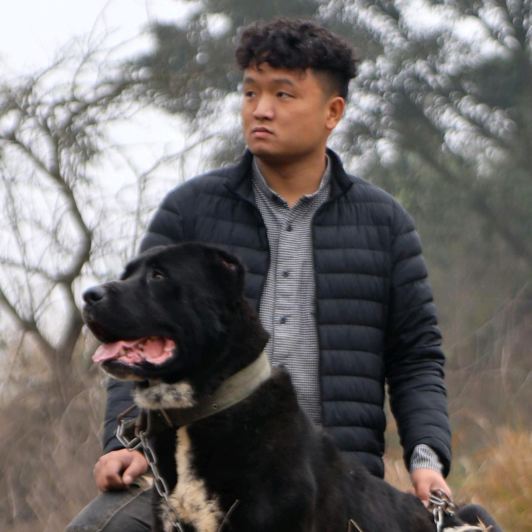 志明与狗直播号-志鹏