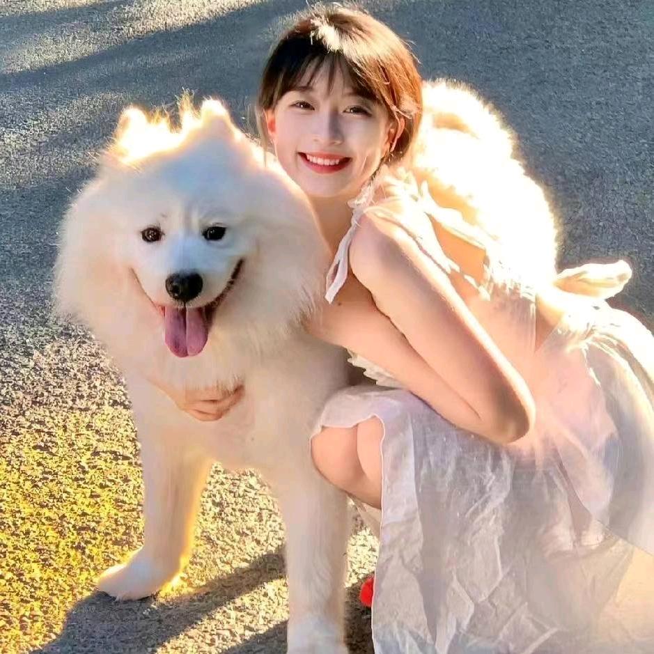 肥猫