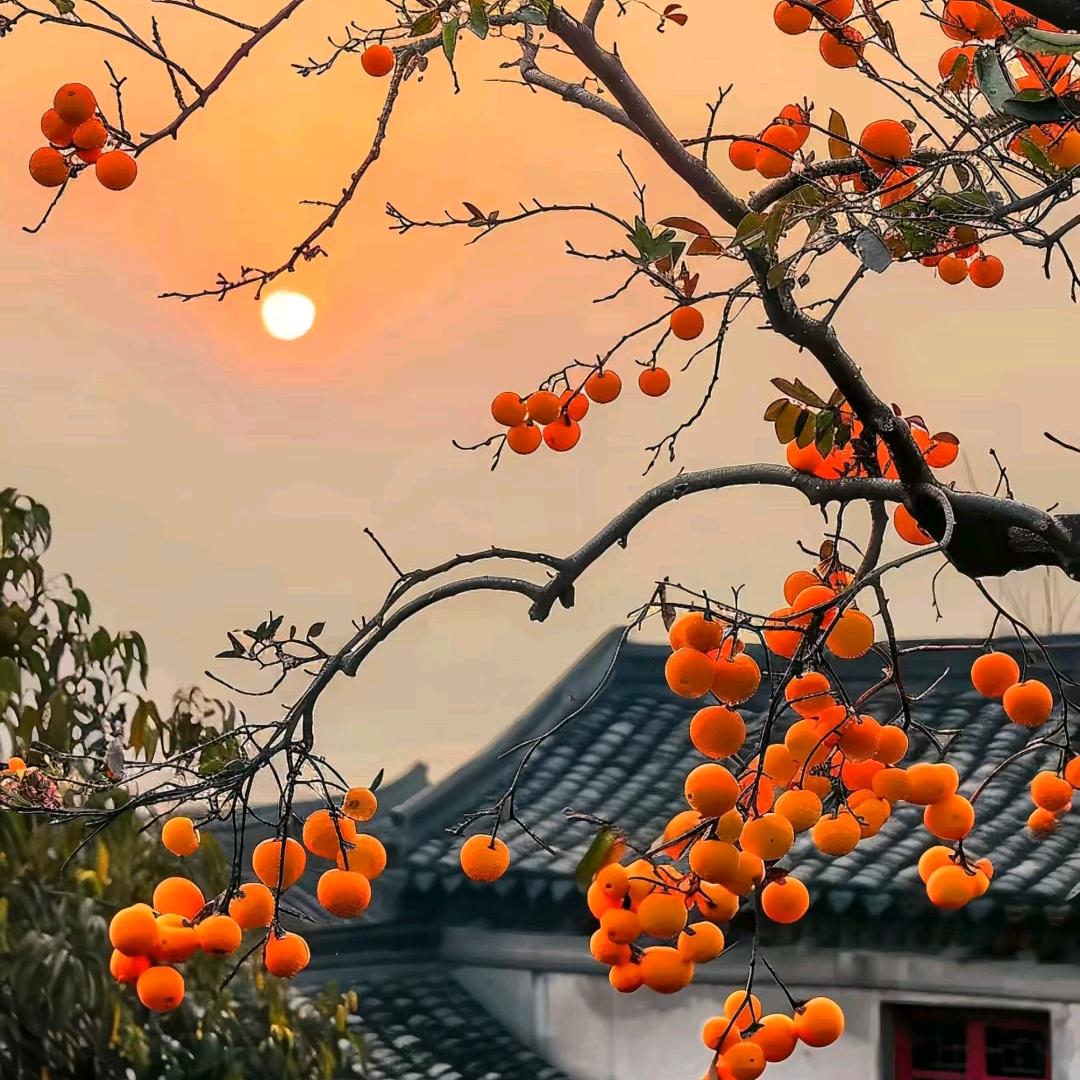 雾里看花