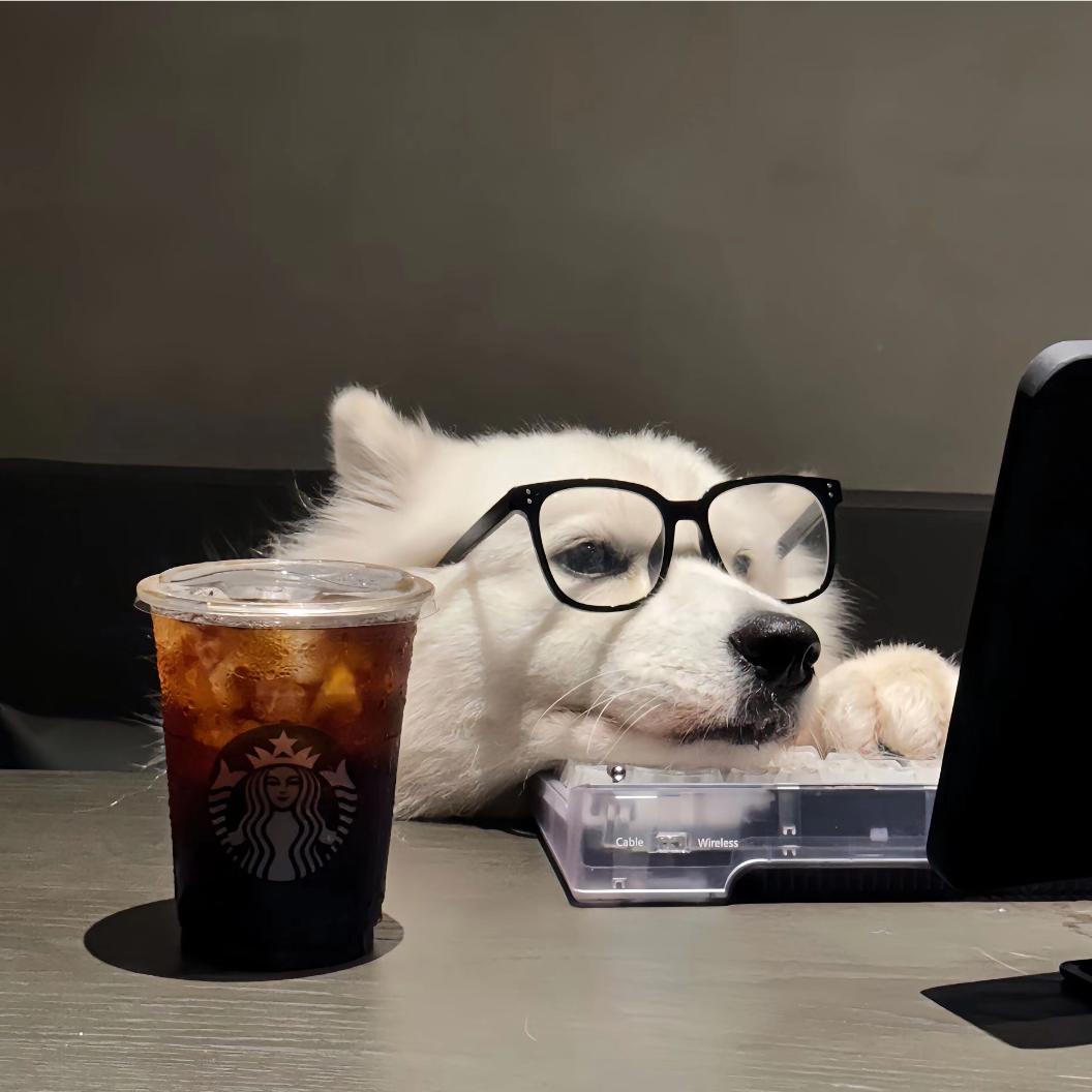 💫Dich（鬼心）