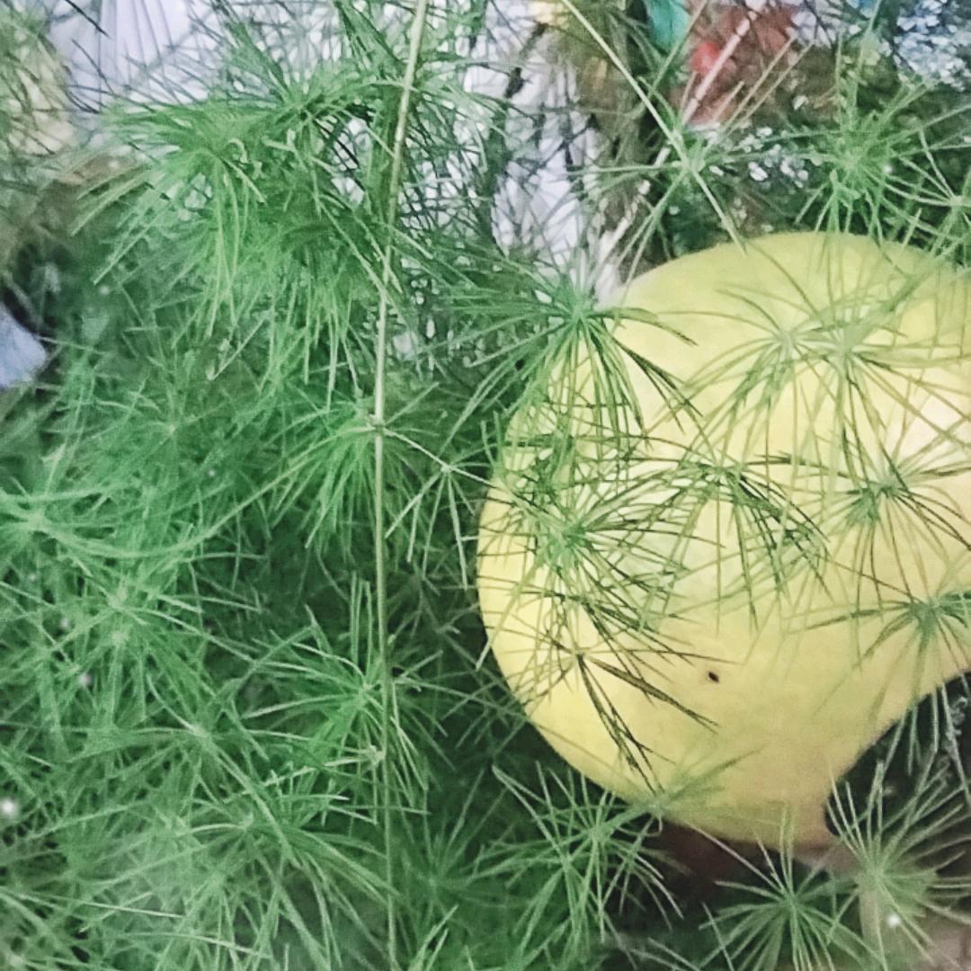 高山，缘尽归真