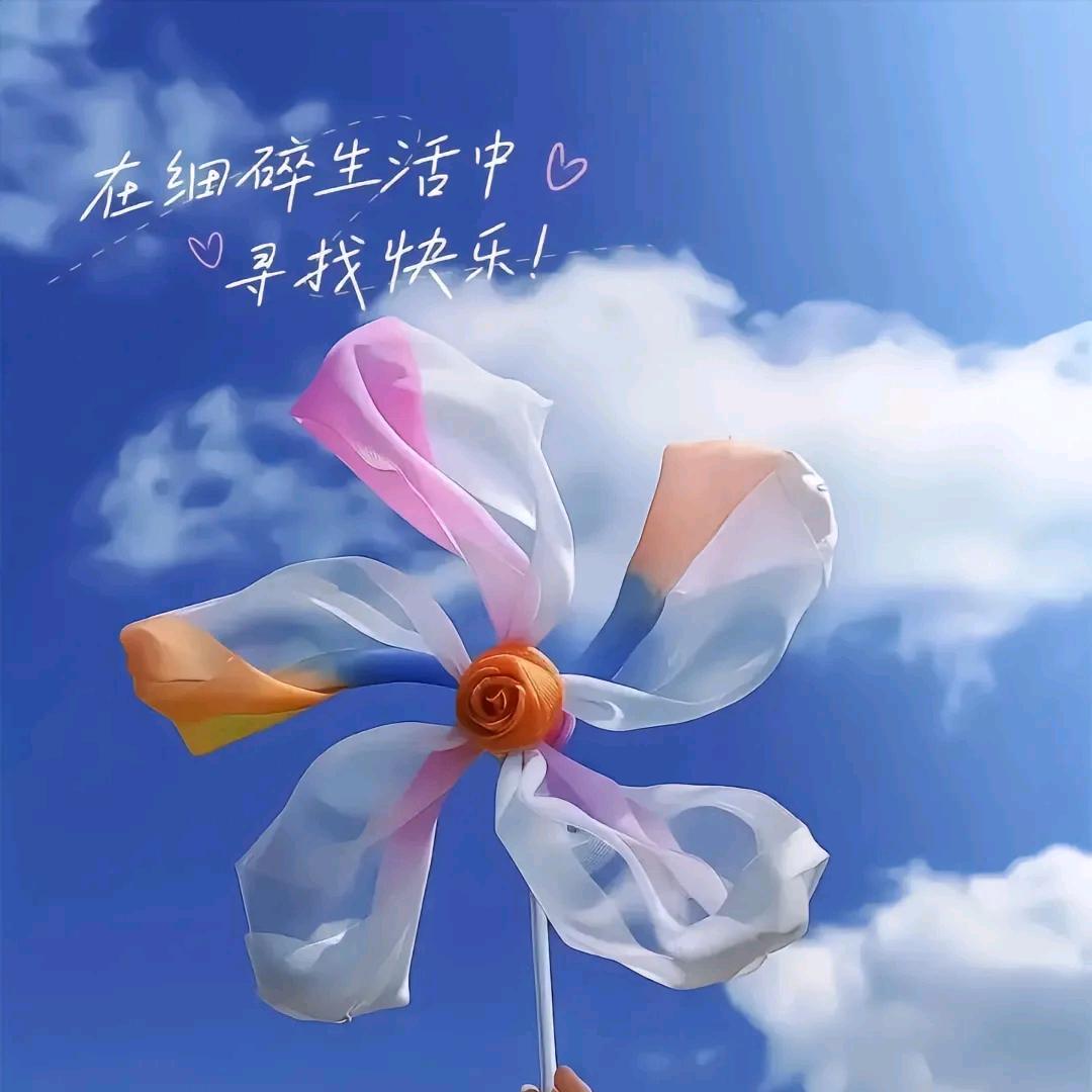 心怡三胎已经生了