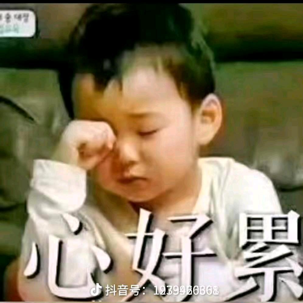 叶落无声