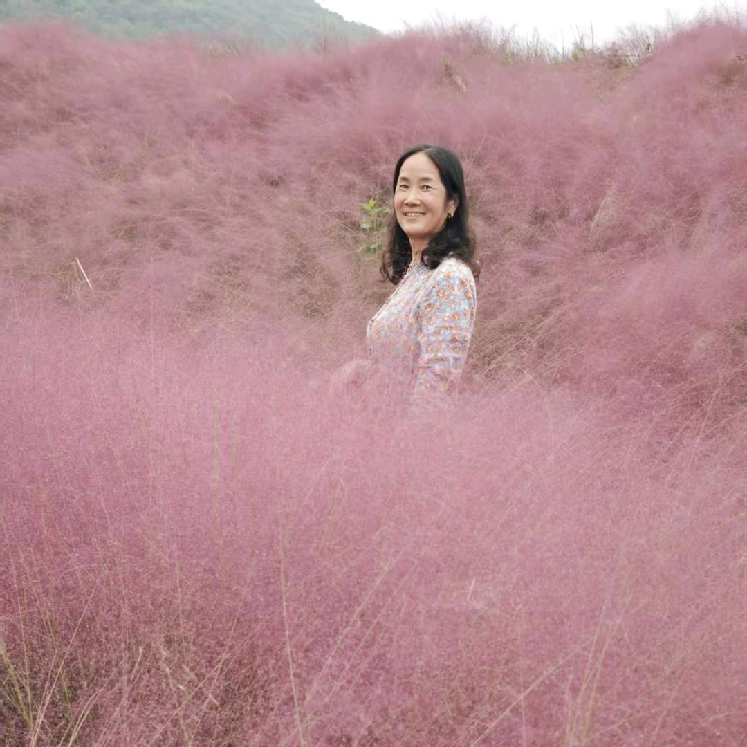 小琴（手机摄影）