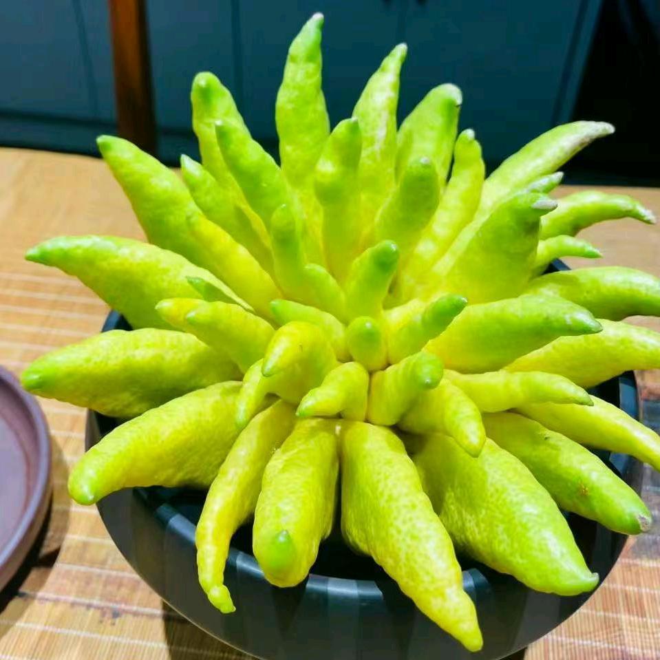 云佛手优选